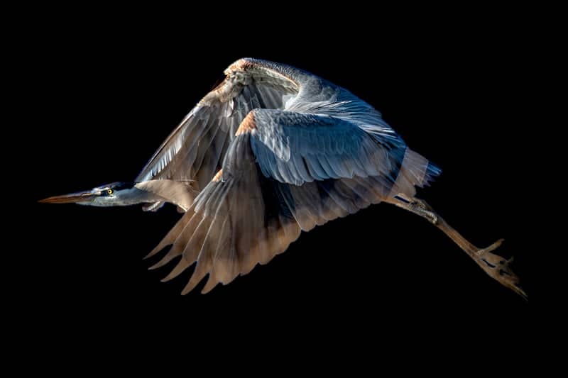 Lake Texoma Wildlife Area - Image 1