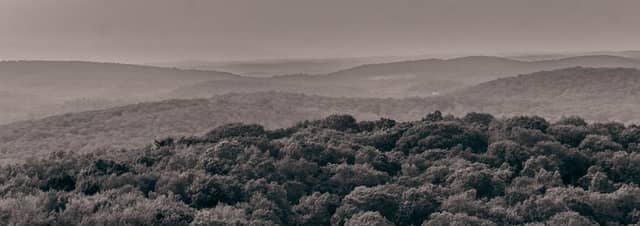 Ninham Mountain Fire Tower - Image 1
