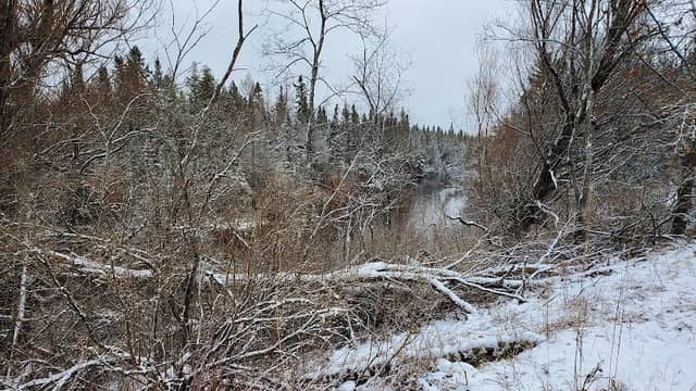 South Branch Au Sable River Downey's Stone Wall - Image 1