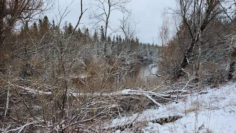 South Branch Au Sable River Downey's Stone Wall - Image 1