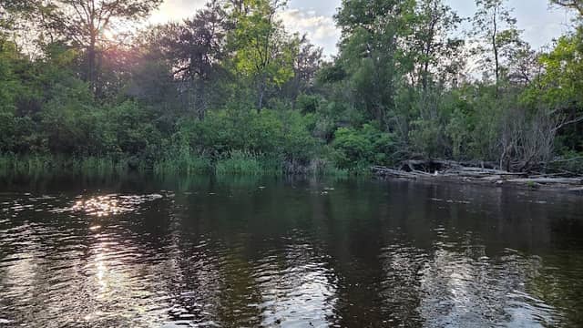South Branch Au Sable River Downey's Stone Wall - Image 2