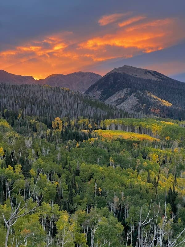 State Forest State Park - Image 2