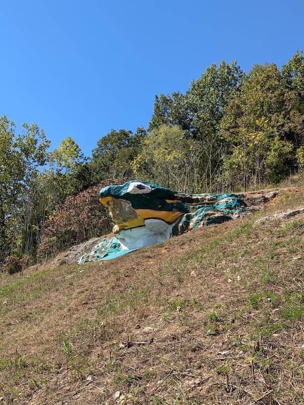 Frog Rock - Image 2