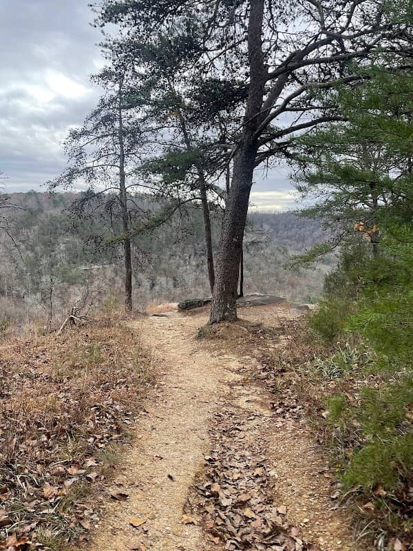 Crow Point Overlook - Image 3