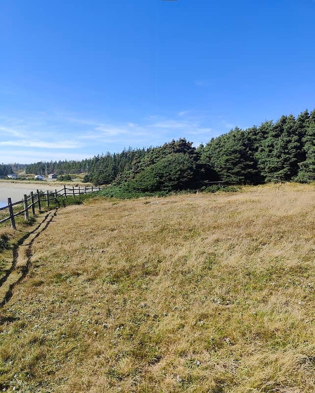 Point Michaud Nature Reserve - Image 3