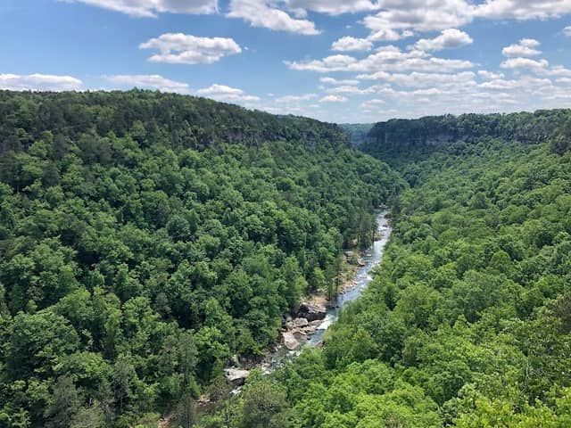 Wolf Creek Overlook - Image 1