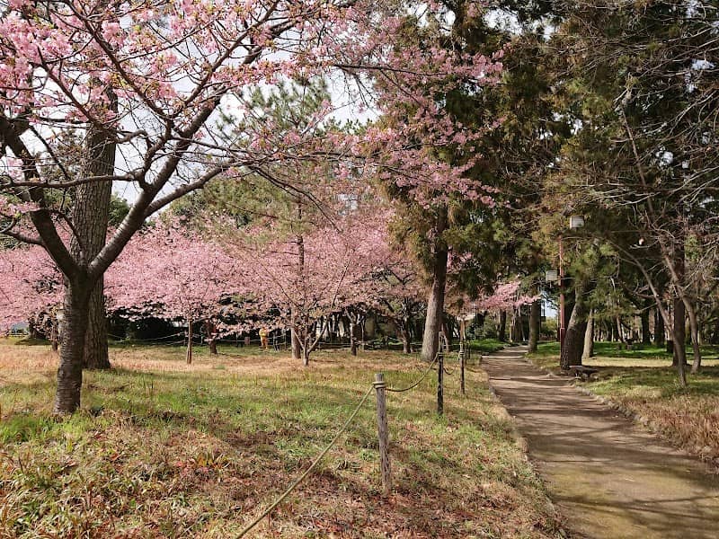 Manyo Park - Image 2