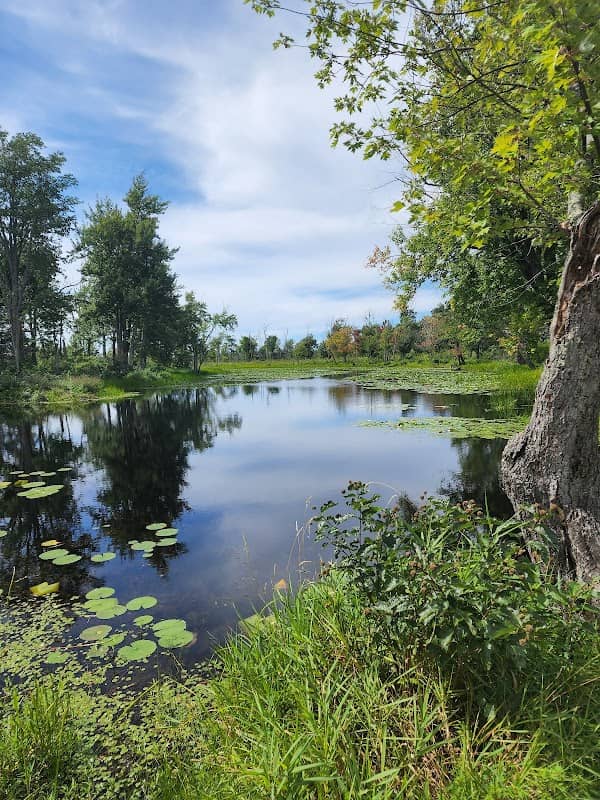 Missisquoi National Wildlife Refuge - Image 1