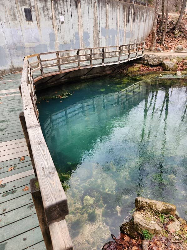 Roubidoux Spring - Image 1