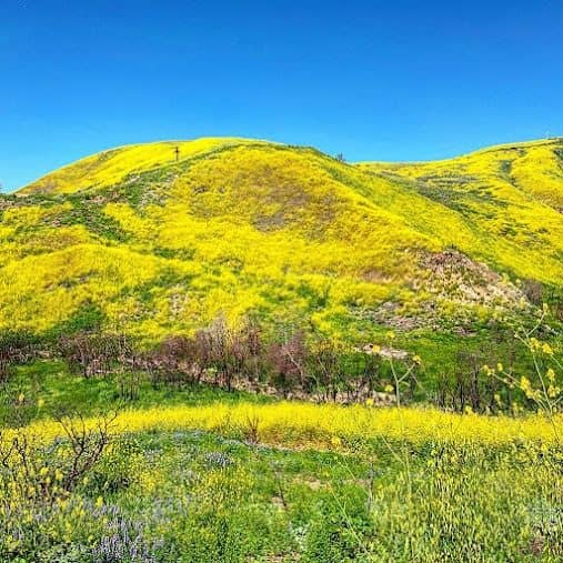 Corral Canyon Park - Image 4