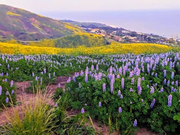 Corral Canyon Park - Image 5