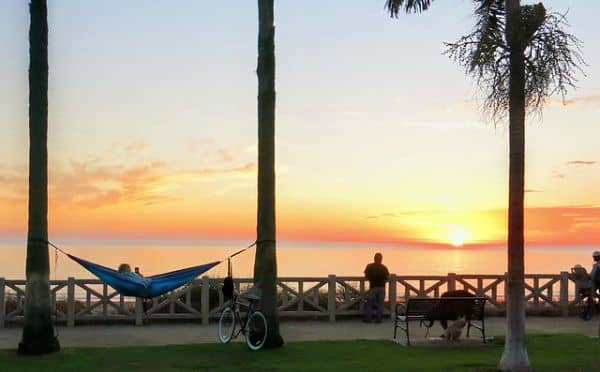Palisades Park - Image 5