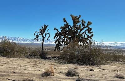 Big Rock Wash Wildlife Sanctuary - Image 5