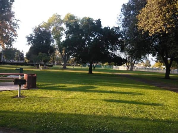 Baldy View Dog Park - Image 1