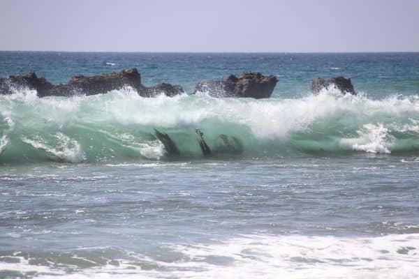 Surfrider Beach - Image 5