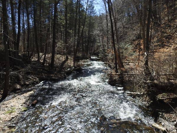 Hornbecks Trail - Image 1
