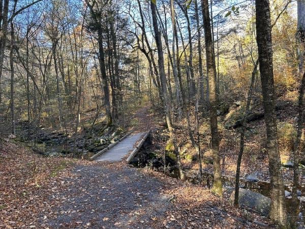 Hornbecks Trail - Image 3