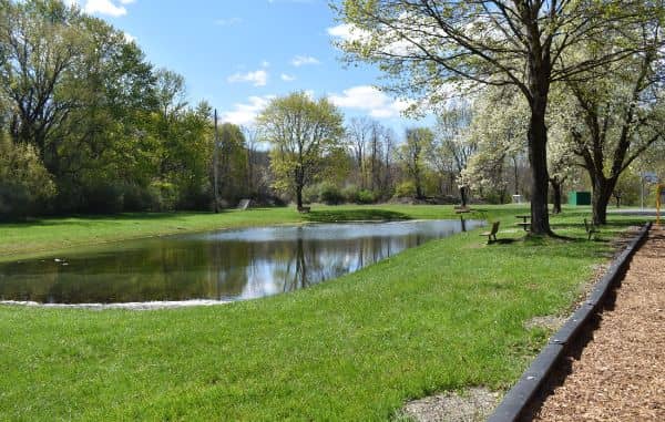 Pine Street Park - Image 2