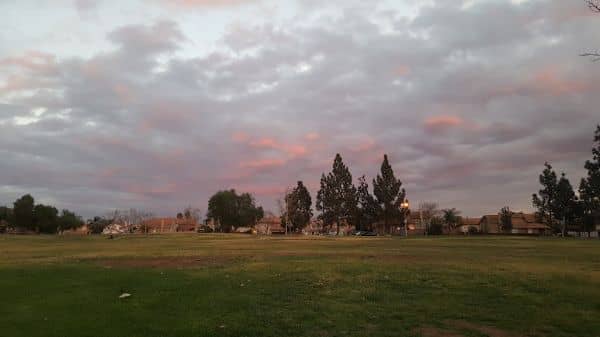Clay Park - Image 2