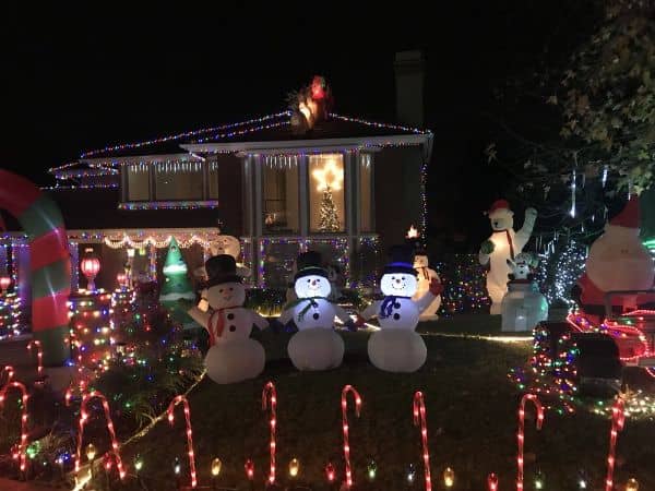 Thoroughbred Christmas Lights - Image 1
