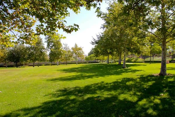 Mountain Gate Park - Image 2