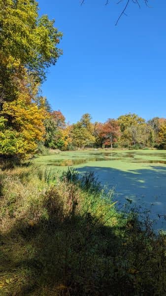 Echo Hill Park - Image 3