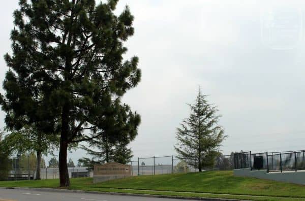 Darrah Volunteer Park - Image 5