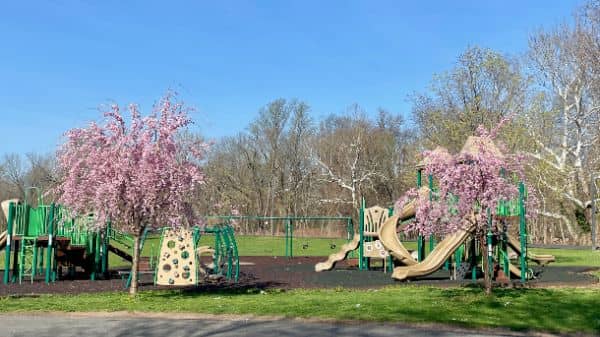 Green Brook Park - Image 4