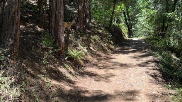 Cascade Park - Image 2