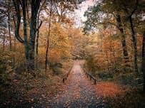 Pleasant Valley Park - Image 2