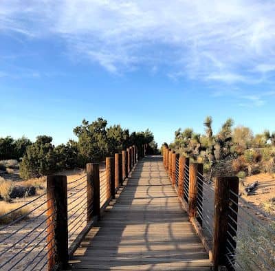 Prime Desert Woodland Preserve - Image 3