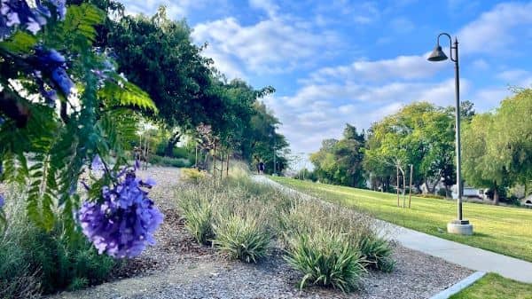 Skyview Park - Image 2