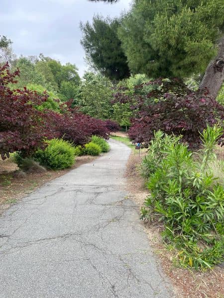 Hollow Run Park - Image 1