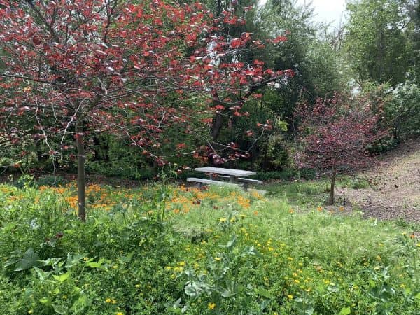 Hollow Run Park - Image 2