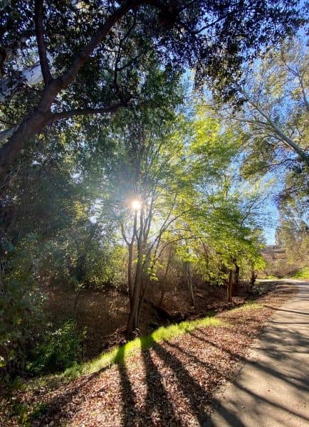 Hollow Run Park - Image 3