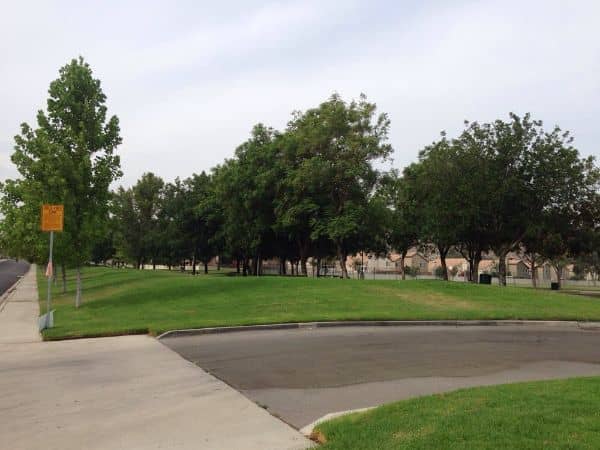 Village Park - Image 2