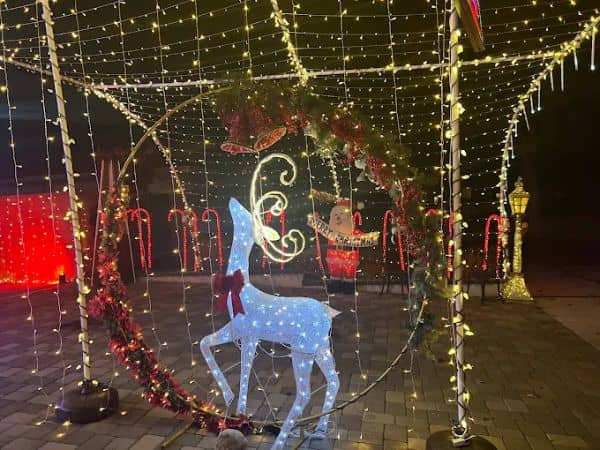 Christmas Light Display (Benjamin’s) - Image 5