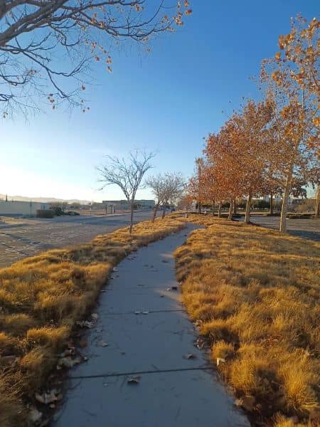 Hesperia Civic Plaza Park - Image 3