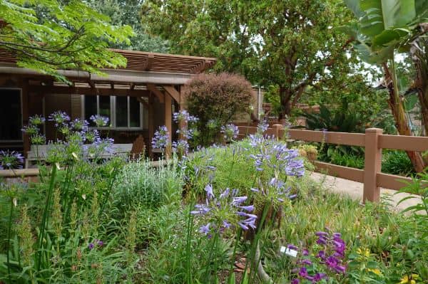 Kids Adventure Garden - Image 1