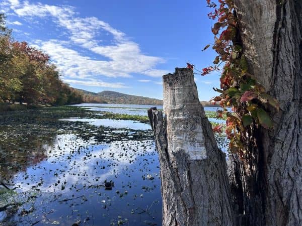 Nyack Beach State Park - Image 2