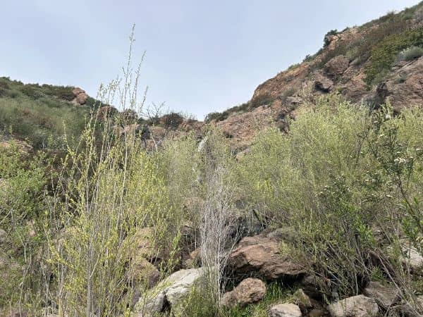 Zuma Canyon Trailhead - Image 1