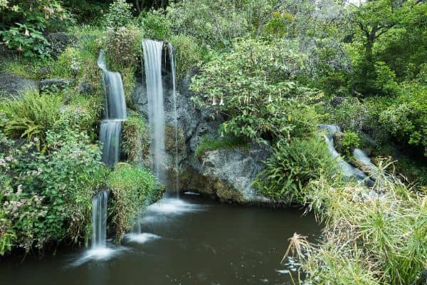 Meyberg Waterfall - Image 3