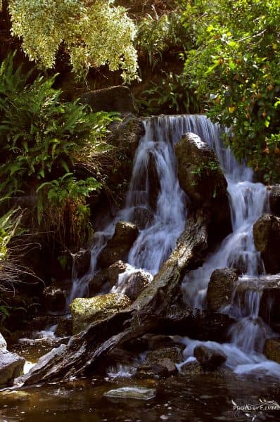 Meyberg Waterfall - Image 2