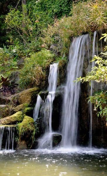 Meyberg Waterfall - Image 1