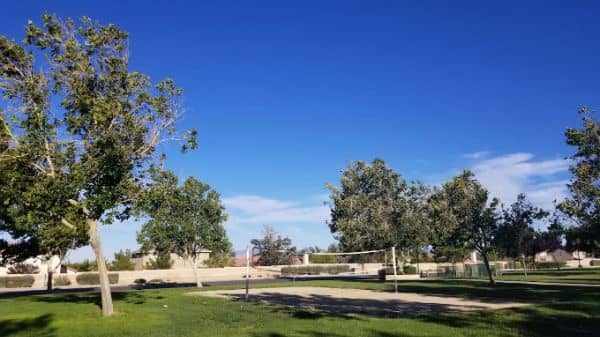 Liberty Park - Image 2
