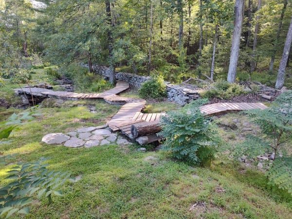 Path of Accumulation - Image 5