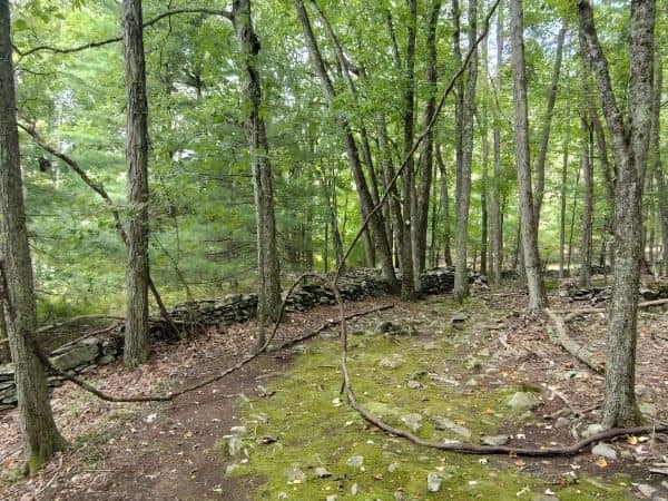 Path of Accumulation - Image 3