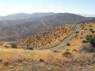 Ritter Ranch Park - Image 3