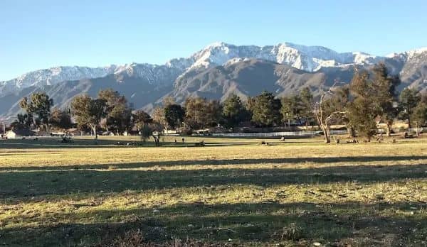 Windrows Park - Image 2
