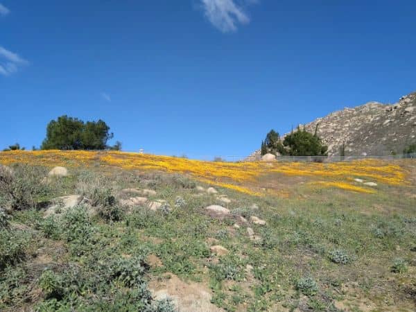 Riverside County Regional Park & Open Space District - Image 2
